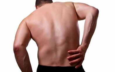 The causes of back pain